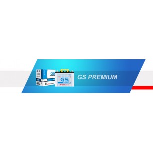 GS Premium N 120 (115F51R)