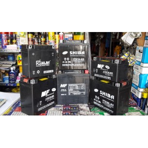 MF/SHIBA/TOYO YTX 10-BS